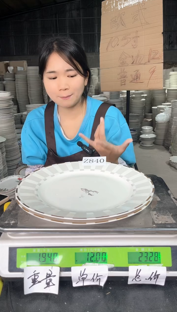 【闪购商品】搪瓷Z840  10.5寸  2个