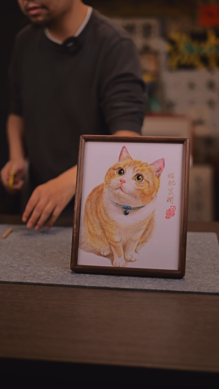 【闪购商品】书法986 猫肥家润 SS 33老师