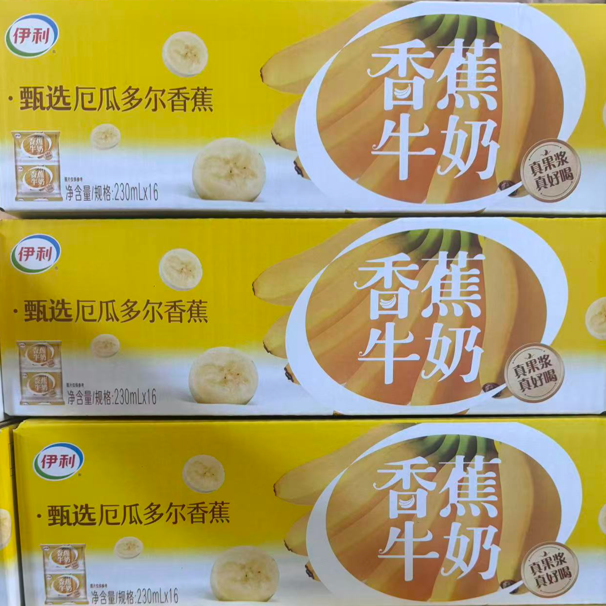 【八月新日期】伊利香蕉/椰子口味230ml*16袋整箱装奶