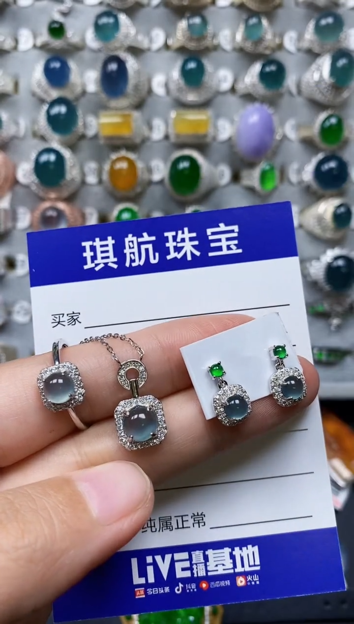 【闪购商品】翡翠颈饰银S925镶嵌0306