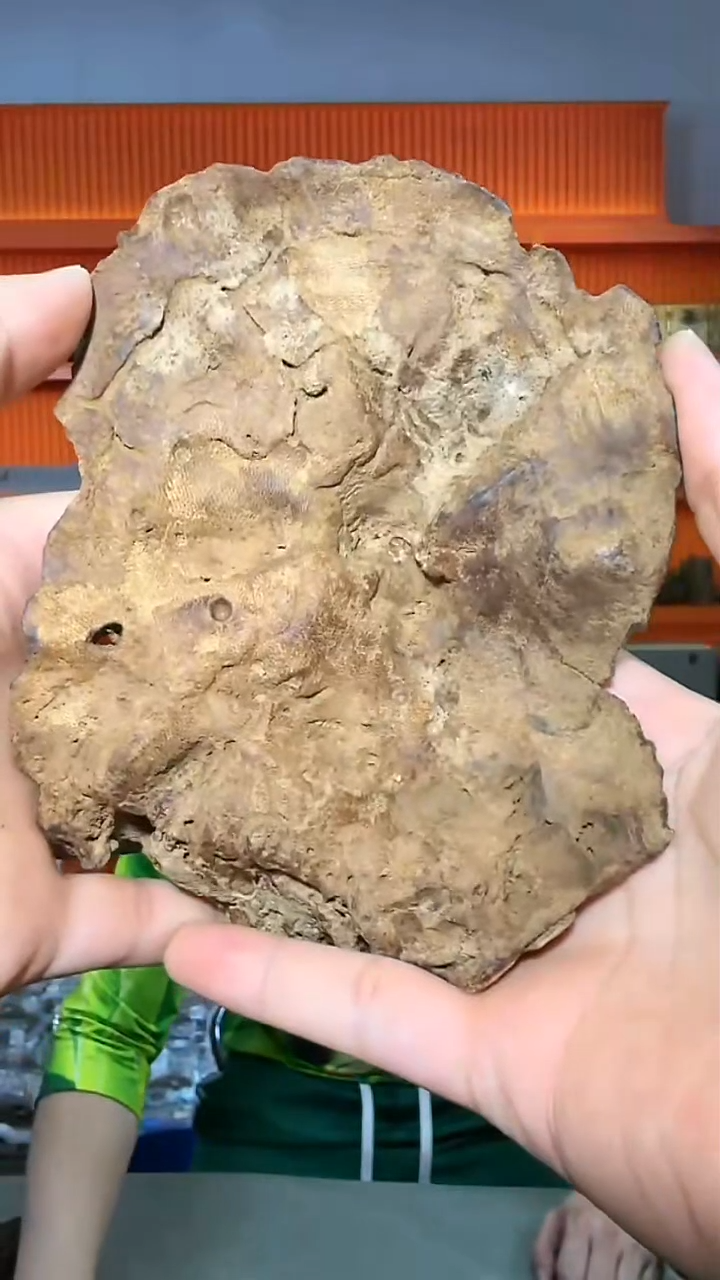 沉香摆件43号红土包头272g多样性发一