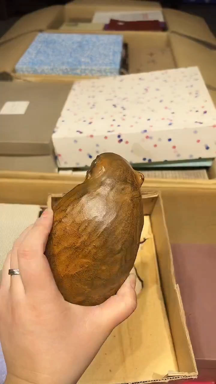 铁1226好好好好好好FF