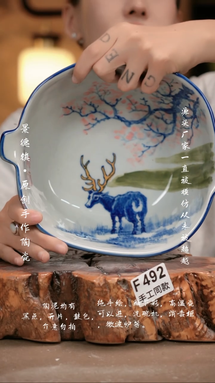 其他F492新十二器