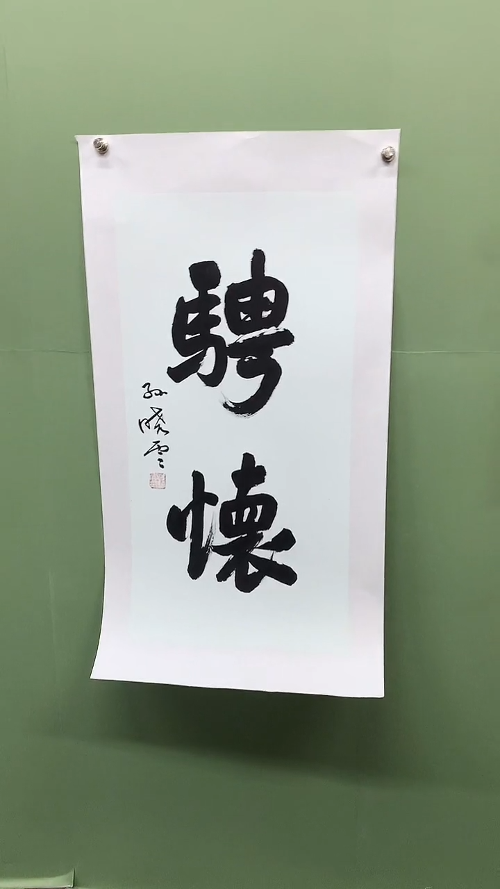 横款精品书法，骋怀