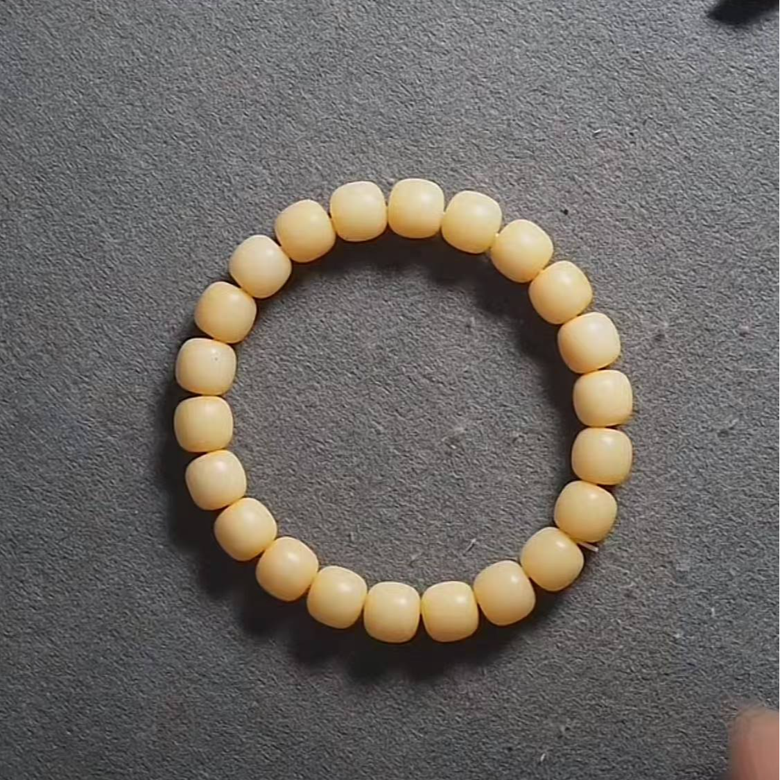 【可青出品】【驼骨】手串【单圈】