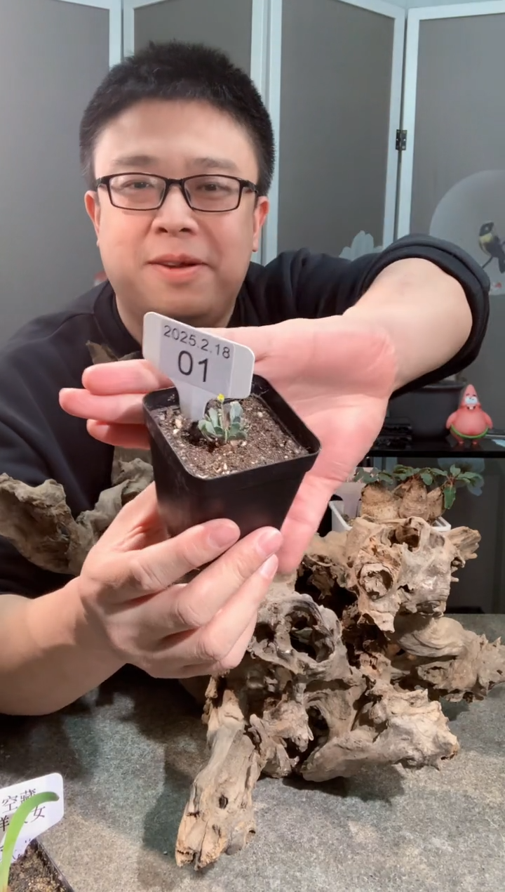 【闪购商品】格加厚敦菊宝宝2.18.01