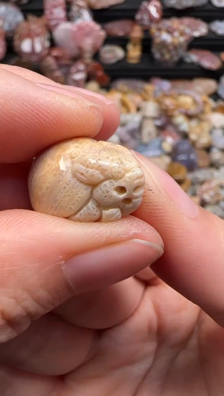 【闪购商品】硅化珊瑚（珊瑚玉）颈饰未镶嵌455