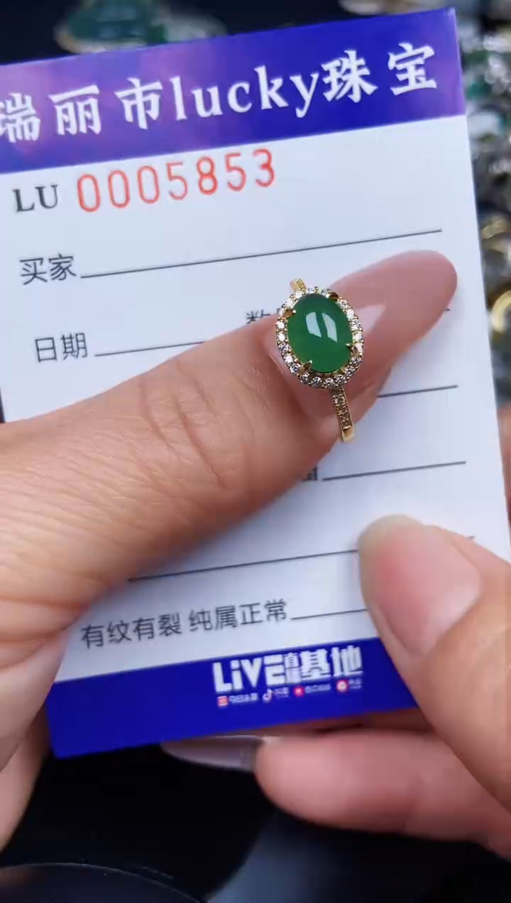 翡翠银S925镶嵌颈饰5853