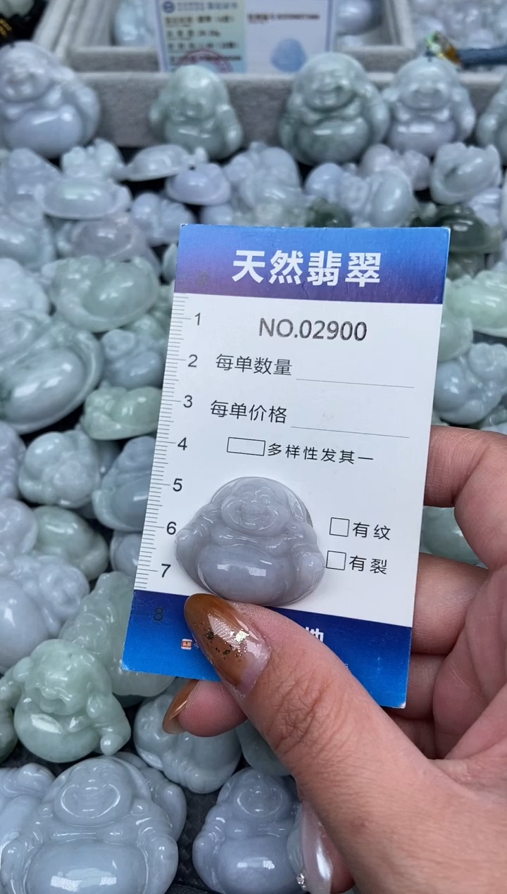 颈饰未镶嵌翡翠纯天然A货翡翠2900