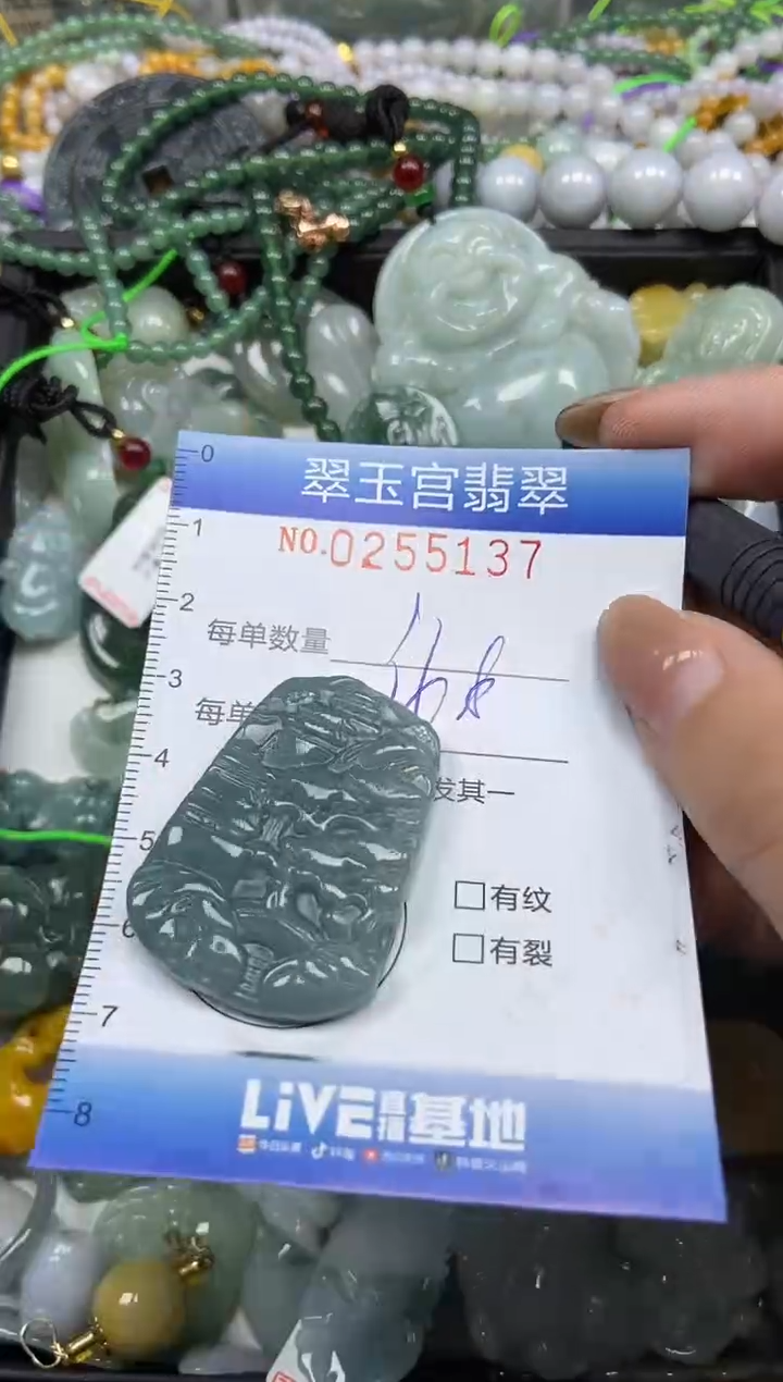 颈饰未镶嵌翡翠闪购C0255137