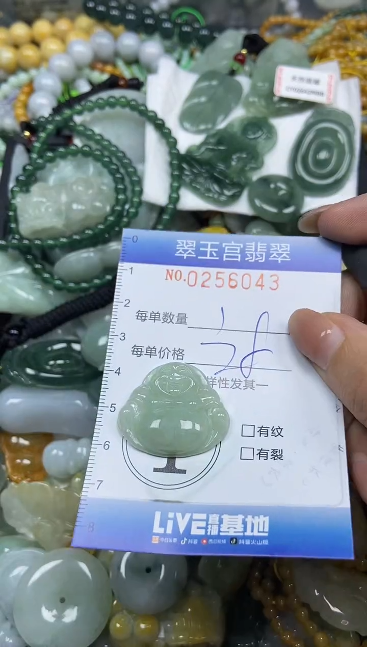 颈饰未镶嵌翡翠闪购C0256043