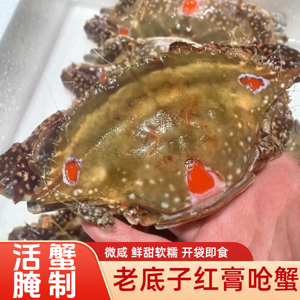 宁波红膏呛蟹 4两左右 新鲜腌制 咸炝蟹 江蟹生 即食海鲜