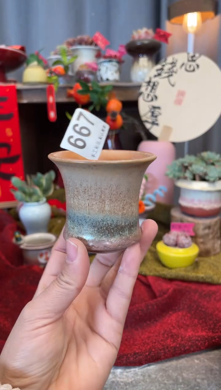 【闪购商品】摆件667知木小芳花盆编号