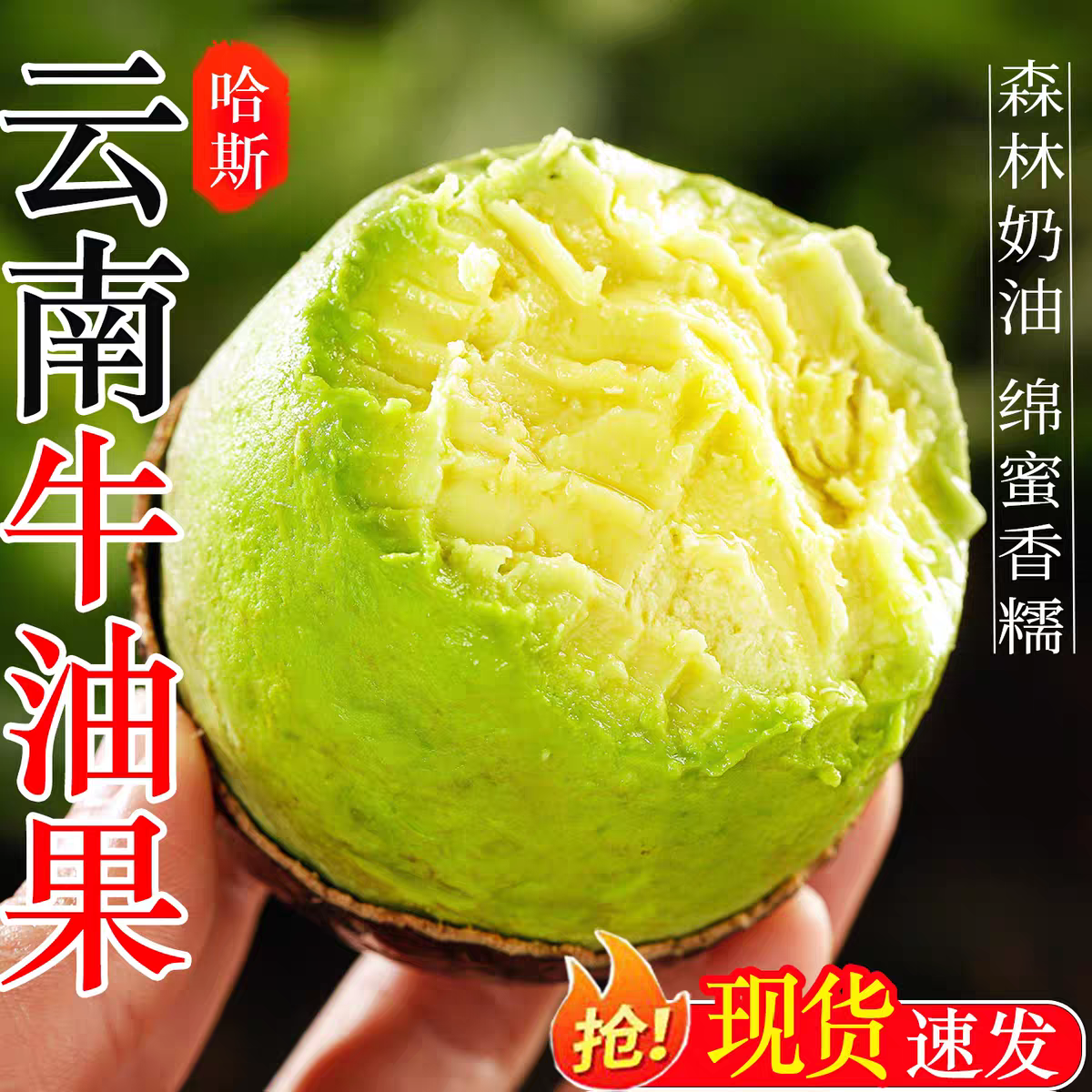 【云南哈斯牛油果】坏果包赔无黑丝软糯绵密孕妈妈宝宝辅食小芳专属