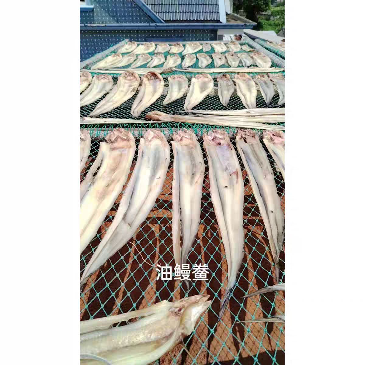 舟山特产自家晒自新鲜油鳗干 小孩大人都可以使用 油鳗鱼干