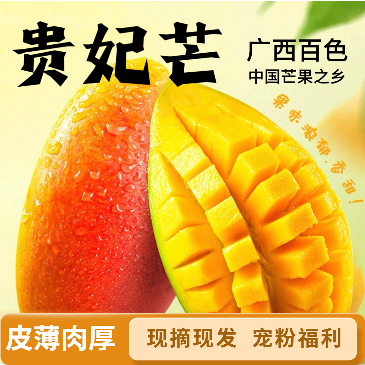 【晓果园现摘现发】广西百色贵妃芒水果当季树上熟芒果整箱热带特产