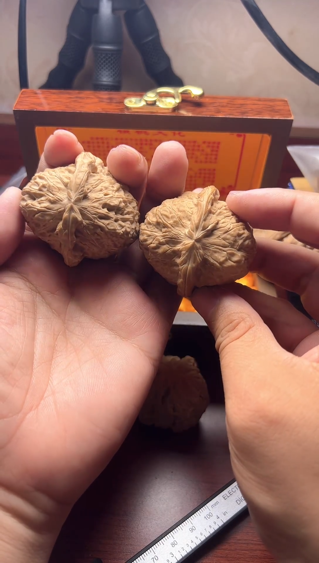 文玩核桃47南瓜墩全品无修