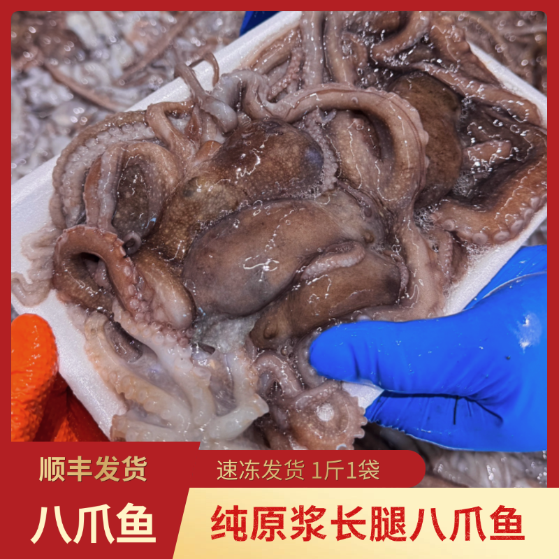 原浆长腿八爪鱼 速冻发货 1斤/袋  3袋起 顺丰发货