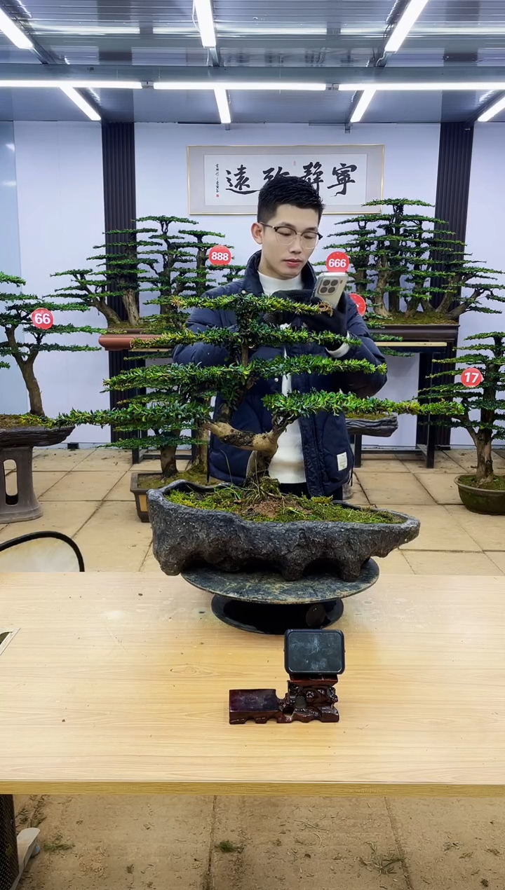 【闪购商品】0000000