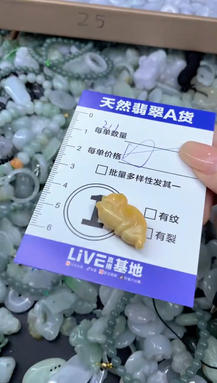 颈饰未镶嵌翡翠天然翡翠A货批量多样性发一件