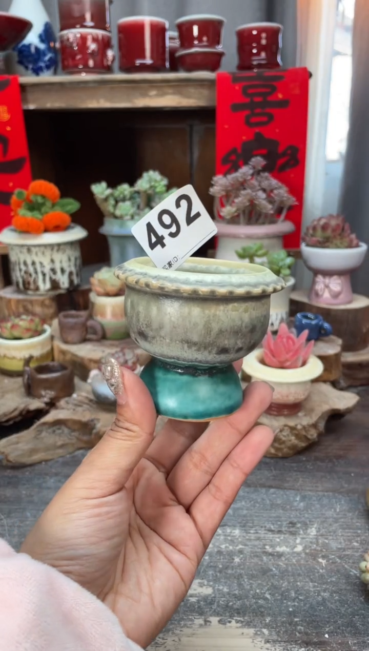 【闪购商品】摆件492知木小芳花盆
