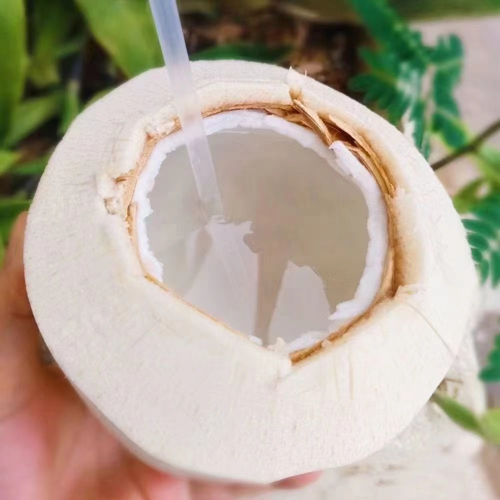 【蓝鲸小掌柜】帅牌泰国椰青新鲜椰青一箱9个18斤以上