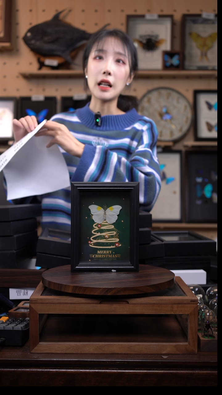 微瑕蝴蝶标本摆件一口价d474