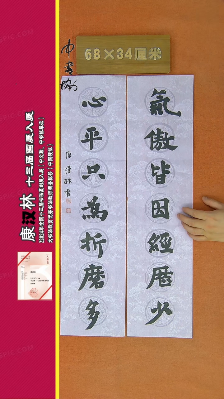 【闪购商品】书法90康汉林书法作品