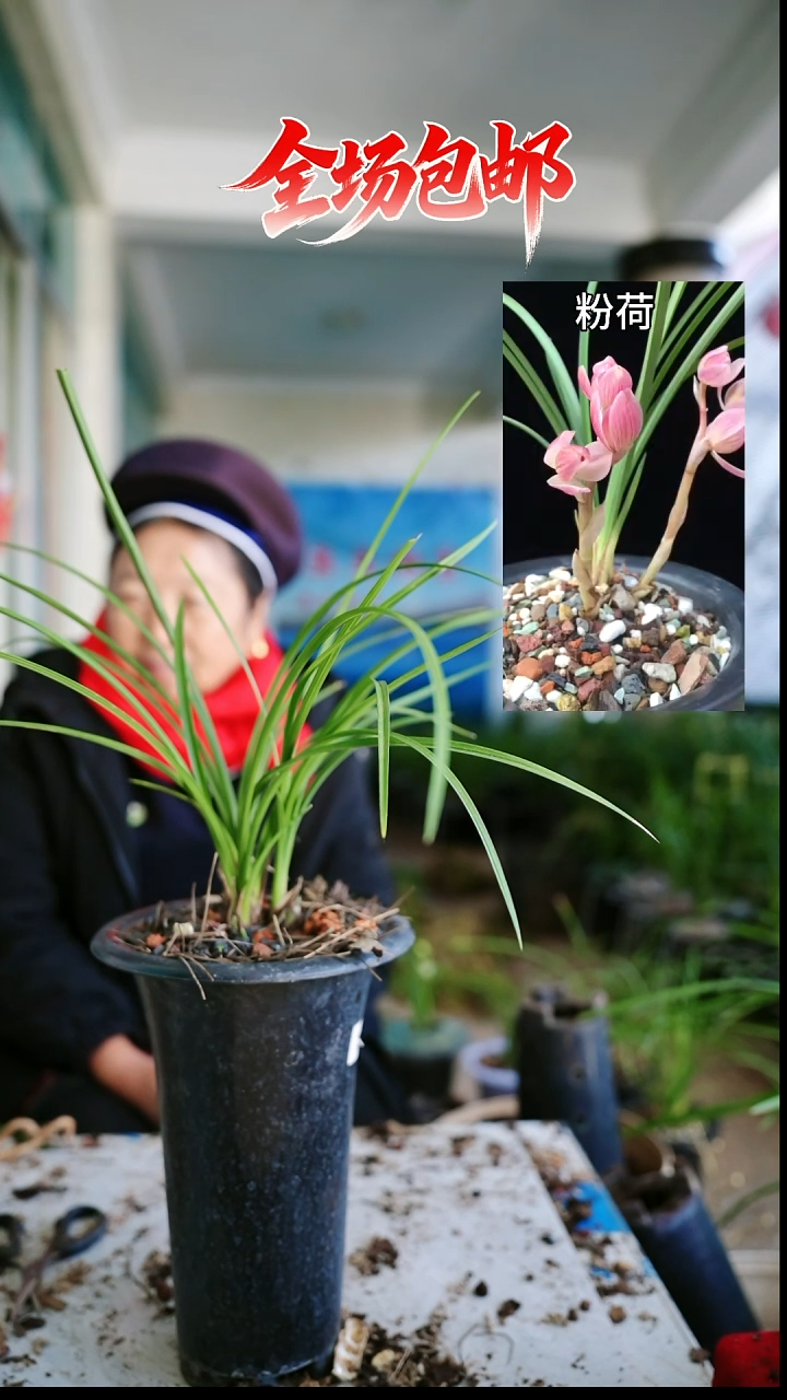 当前无花栽培后可以开花：大学素