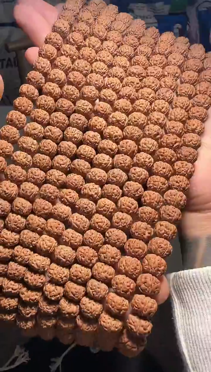 手串金刚菩提无利润超头精挑老树王108-11mm