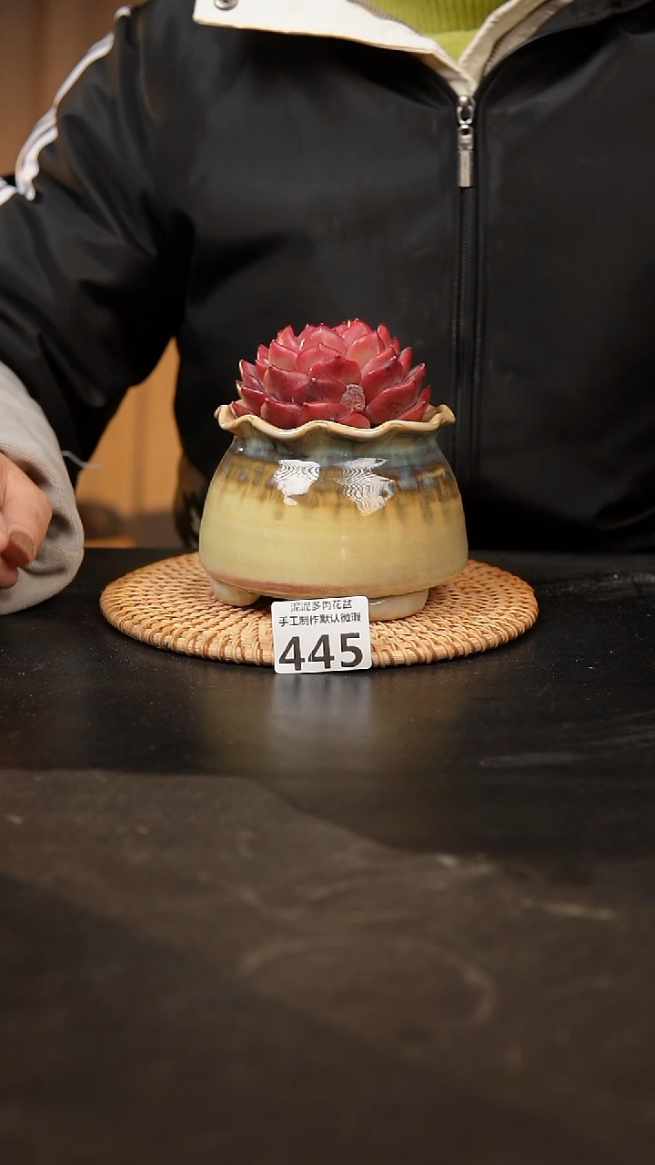 【闪购商品】瓷片445泥泥手工花盆口8