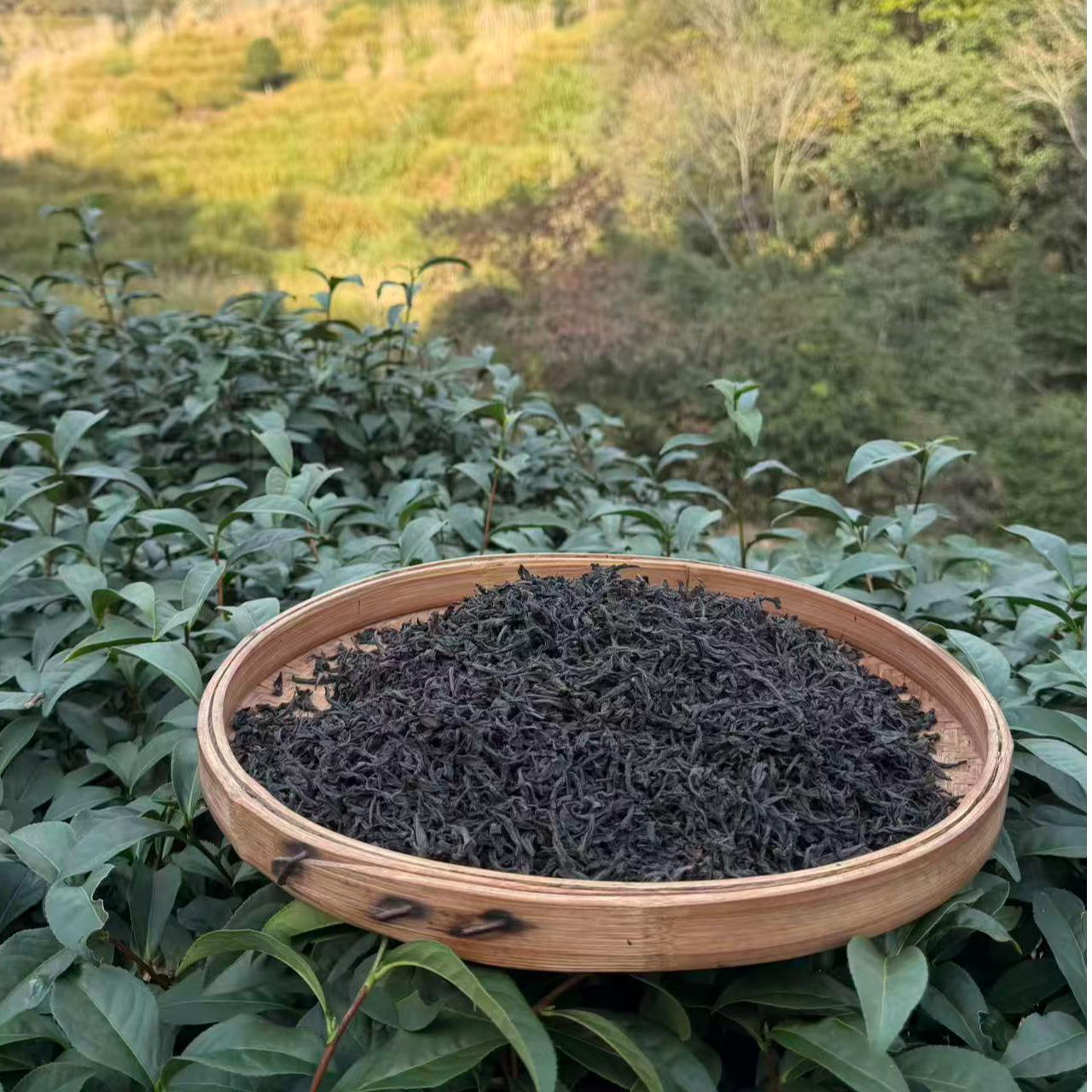 武夷山半岩肉桂花果香250g