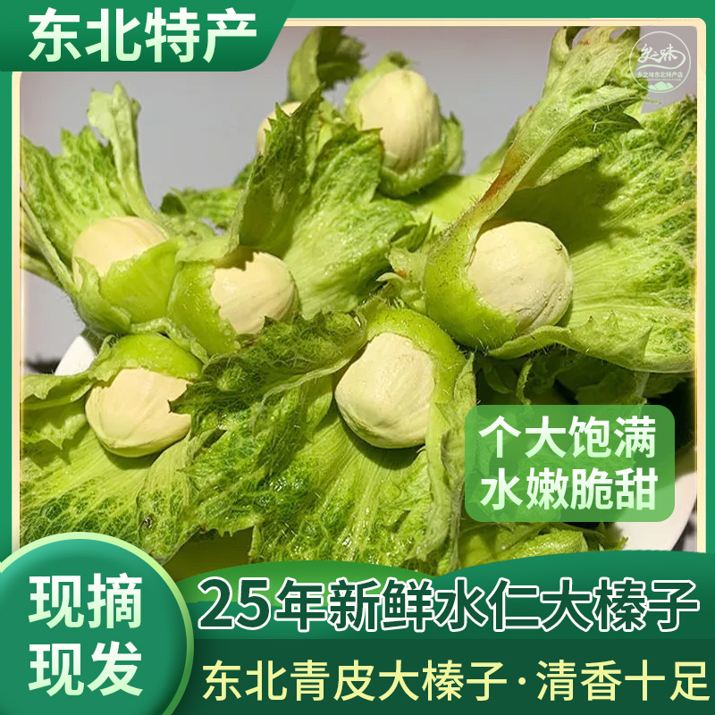 2025年现货新鲜绿皮东北大榛子水仁水瓤鲜绿青皮榛子500g顺丰包邮