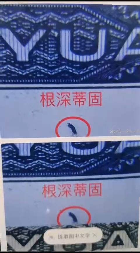 【闪购商品】珺姐专属902根深蒂固号码多样性发货单张