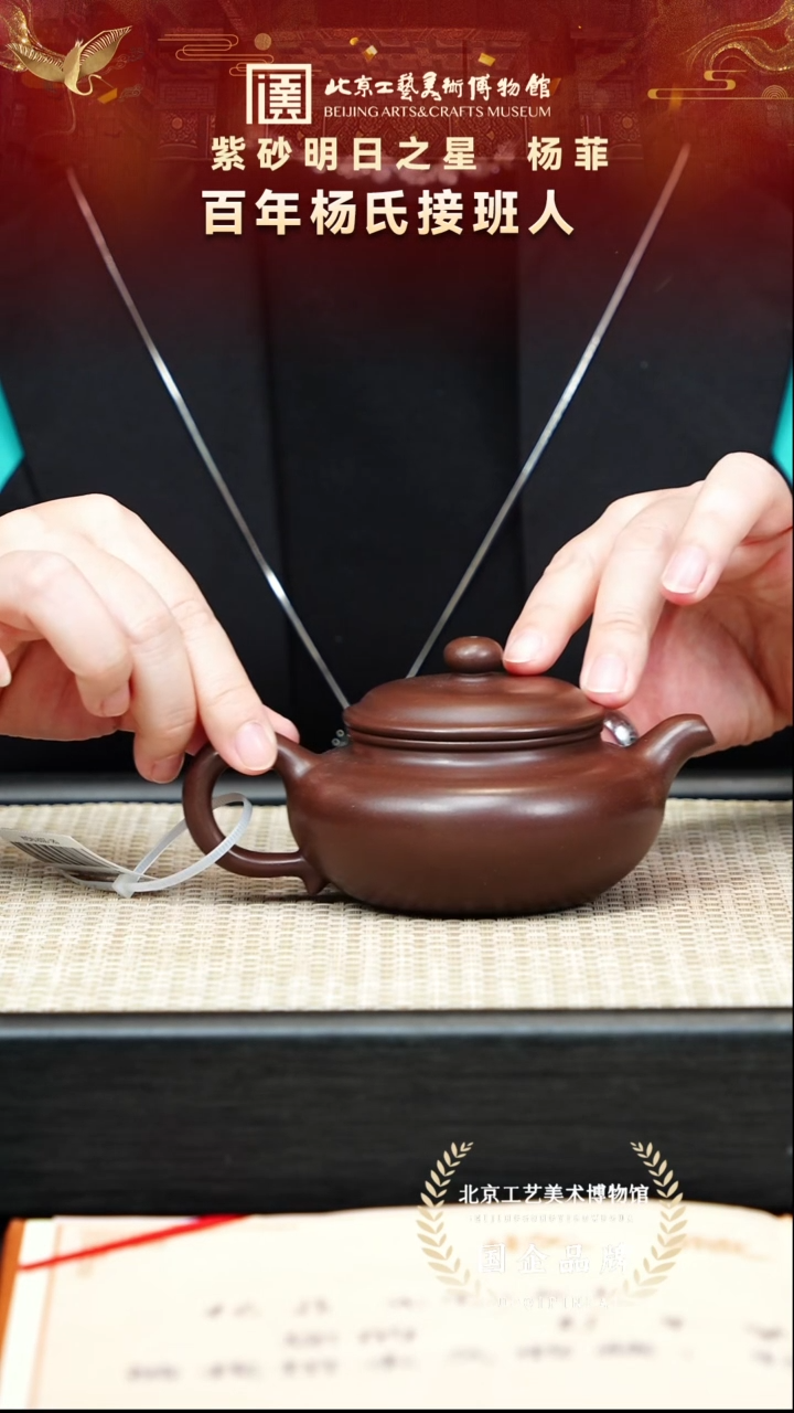 茶壶紫砂10宜兴紫砂非遗福利品