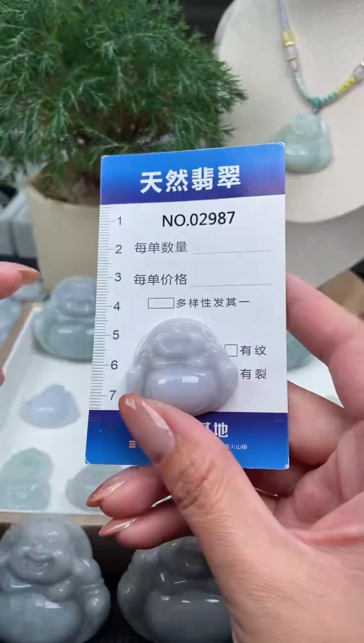 颈饰未镶嵌翡翠纯天然A货缅翡2987