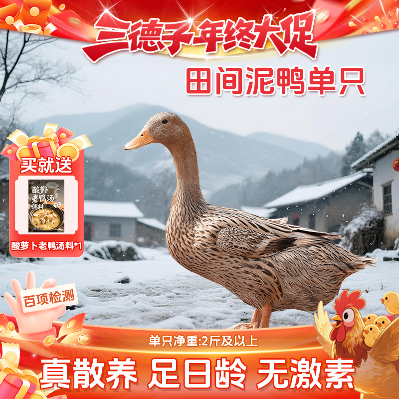 三德子【田间泥鸭】散养500天麻鸭土鸡土鸭炖汤红烧新鲜营养美味