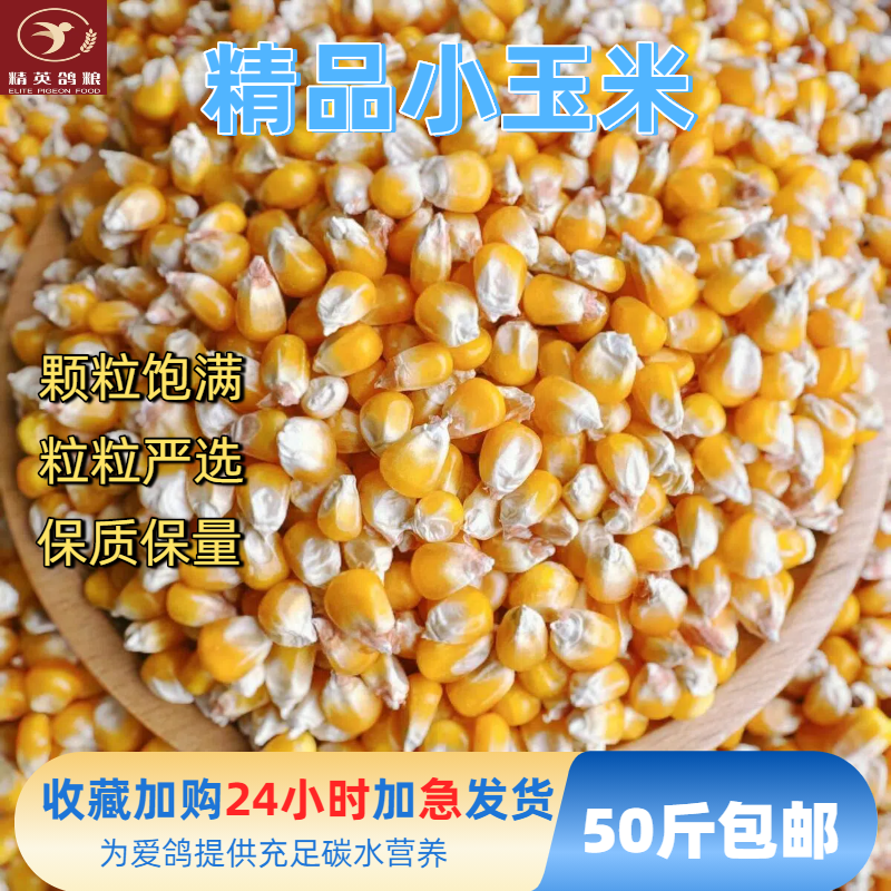 精品颗粒玉米喂粮食鸽子喂鸡酿酒专用信鸽肉鸽50斤养鸡包邮
