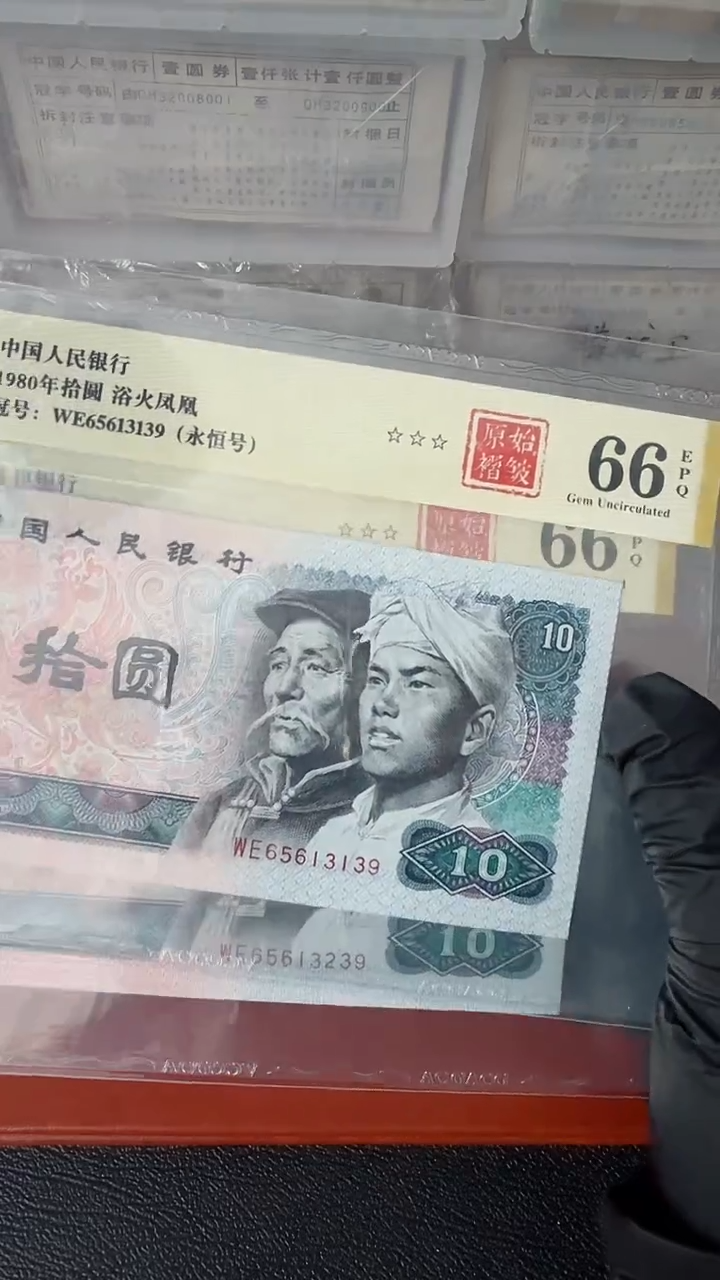 【闪购商品】8010蓝火凤凰+欲火褶皱2张尾39
