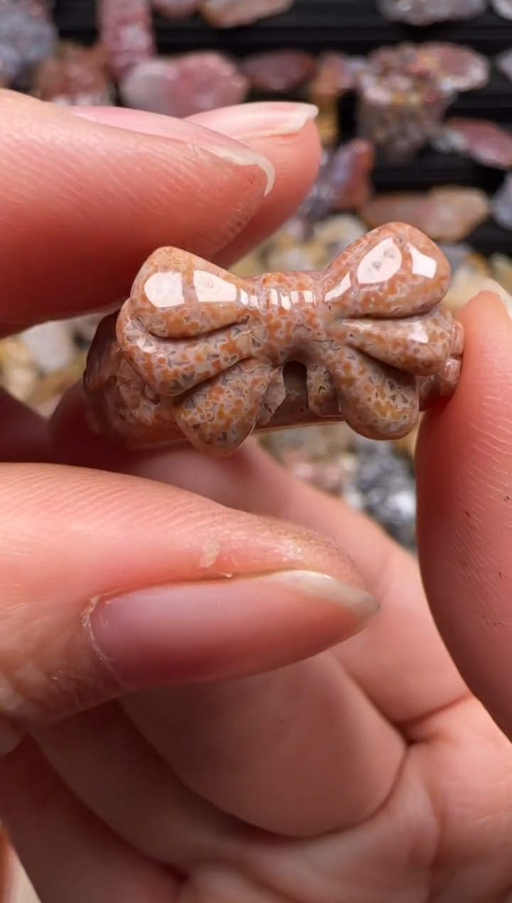 【闪购商品】硅化珊瑚（珊瑚玉）颈饰未镶嵌526