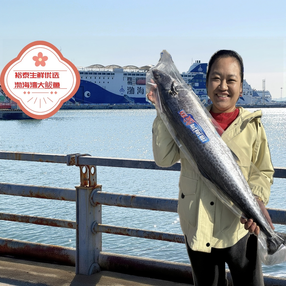 大连鲅鱼渤海湾海捕小船燕鲅鱼1.5-2斤默认2条鱼顺丰包邮