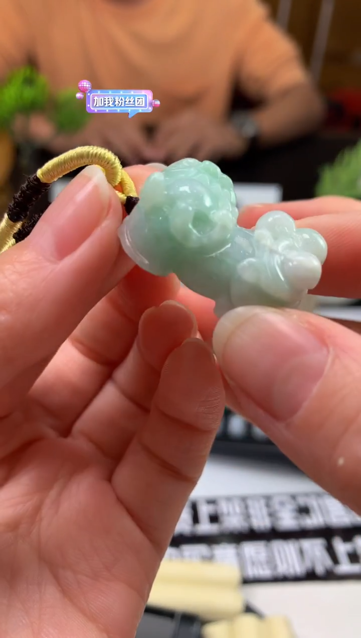 颈饰未镶嵌翡翠芝****装---121956