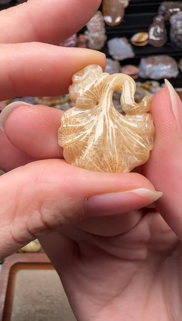 颈饰未镶嵌硅化珊瑚（珊瑚玉）758