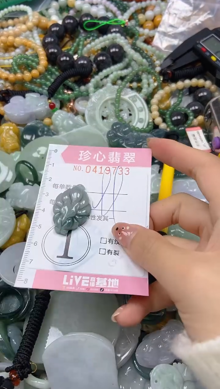 颈饰未镶嵌翡翠闪购0419733