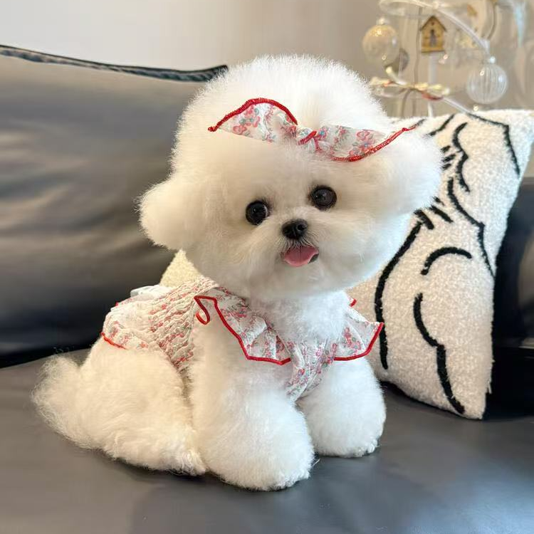 小型犬比熊宠物 衣服  TT6