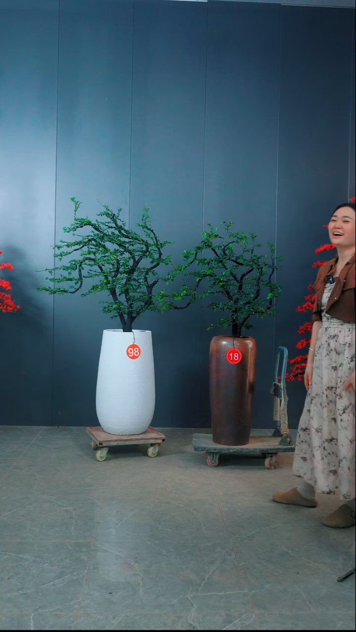 无花朵云**建广东小叶紫檀.98.18号