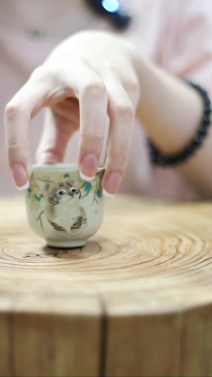 桂花小猫小杯子啊