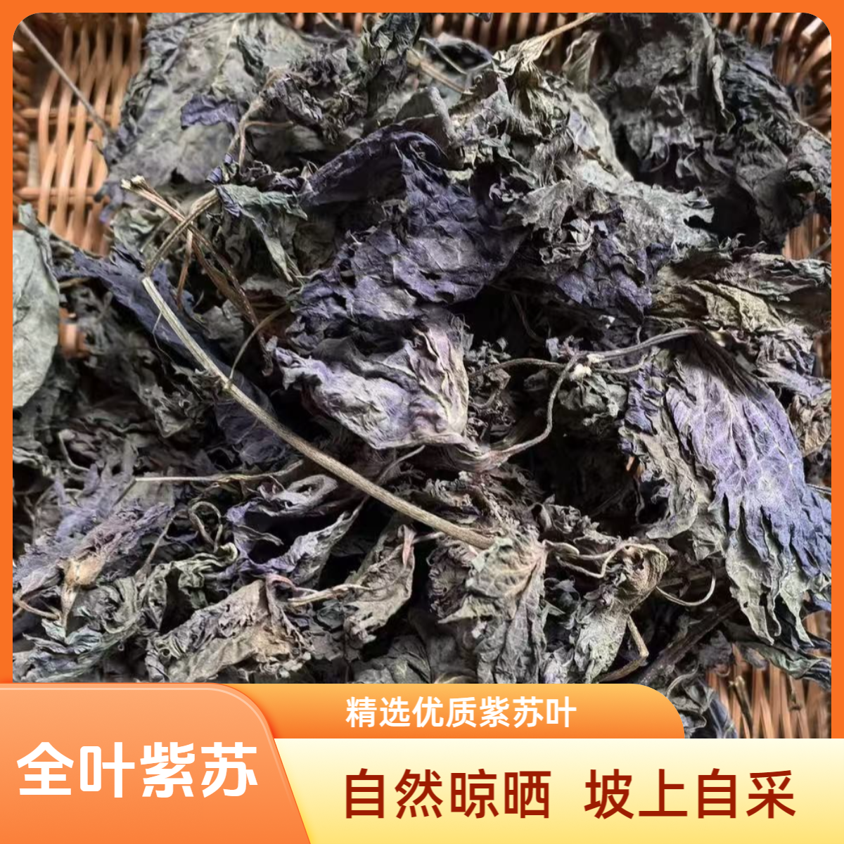 【大元山紫苏叶】新鲜干货紫苏叶无硫无粗杆泡茶当香料煮水煮鸡蛋