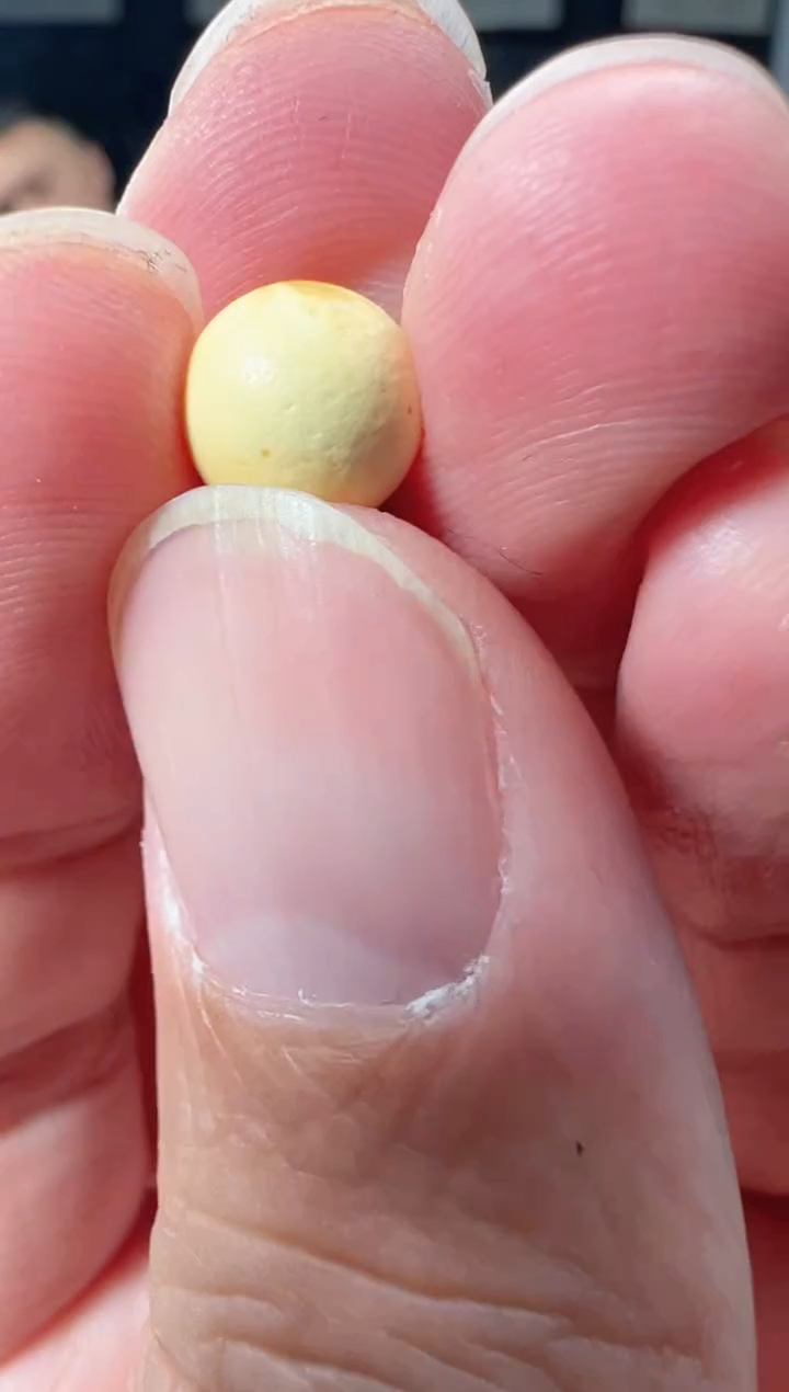 【闪购商品】琥珀裸石未镶嵌 （微瑕）橘皮花蜡单珠-S20