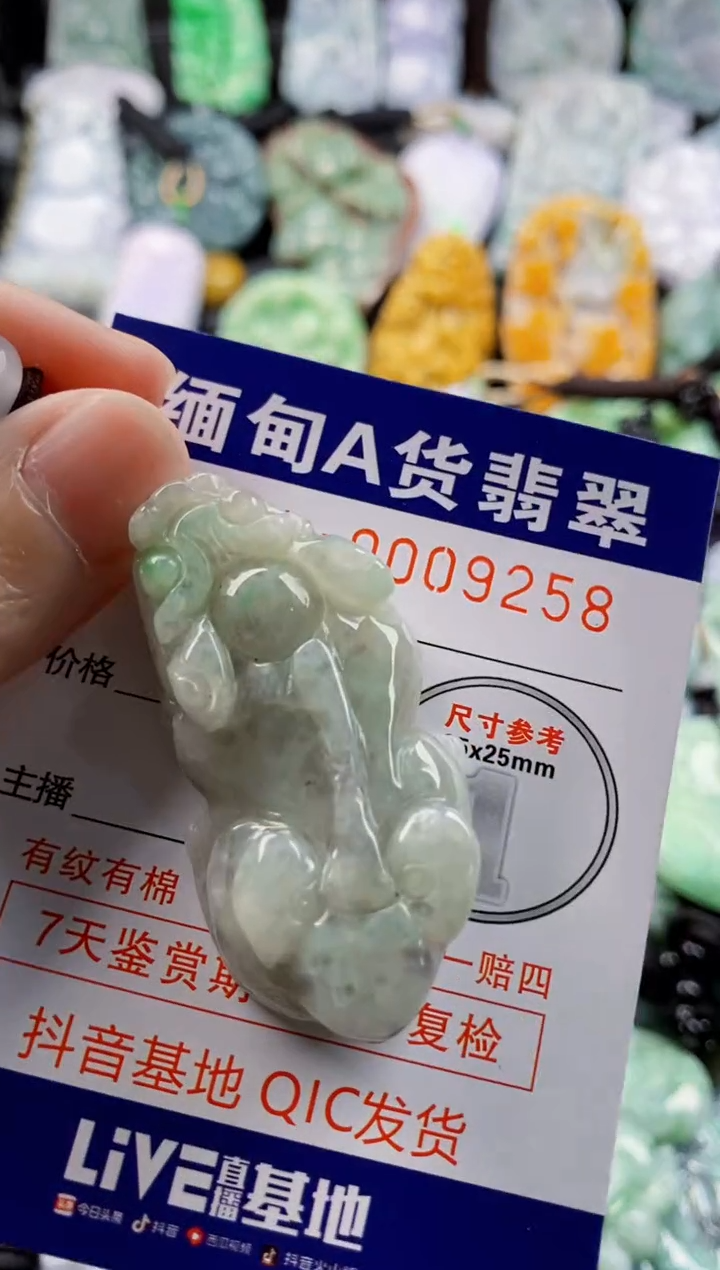 翡翠未镶嵌吊坠(不含链)1